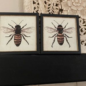 2bee pictures